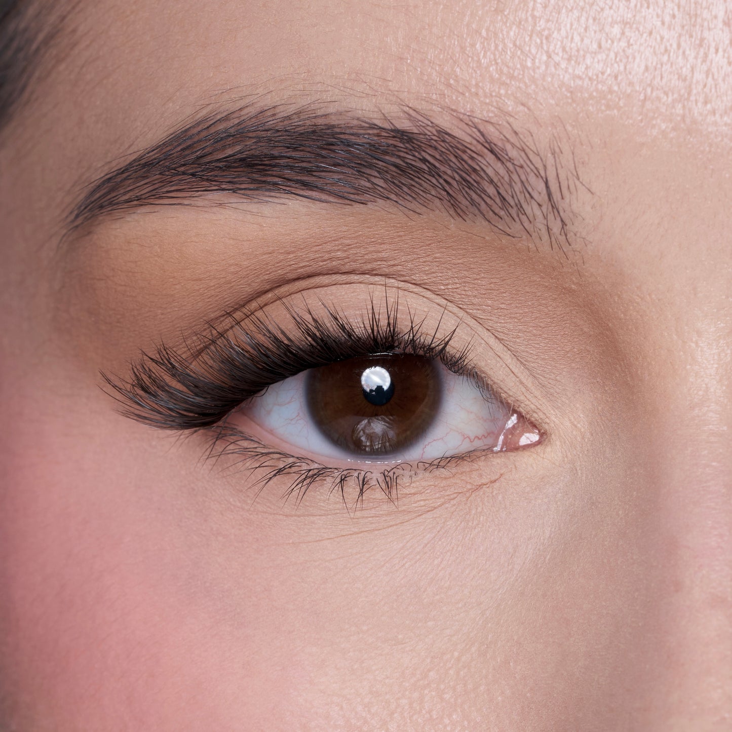 FIÁMI LONDON lashes. Sassy Icon C Curl.