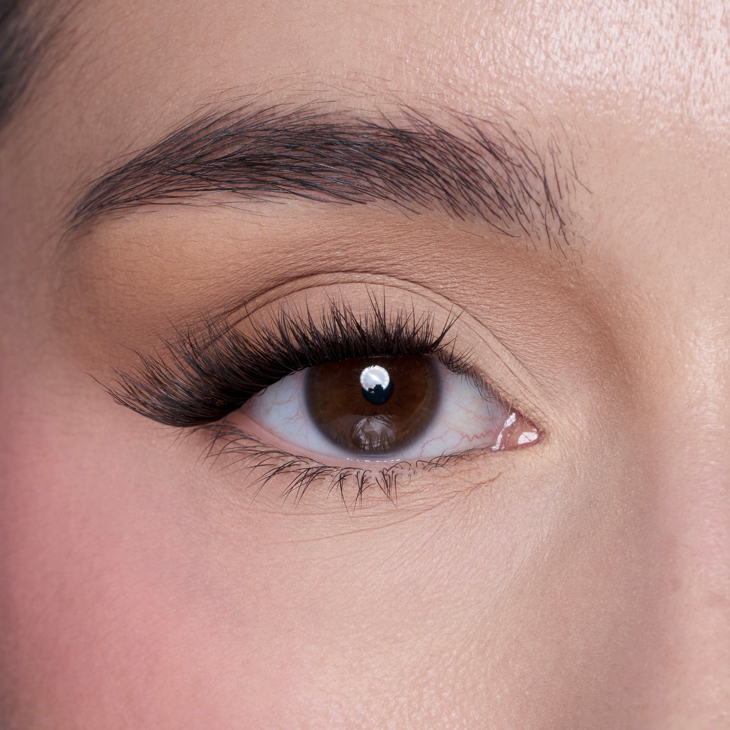 FIAMI LONDON lashes. Fierce Allure C Curl